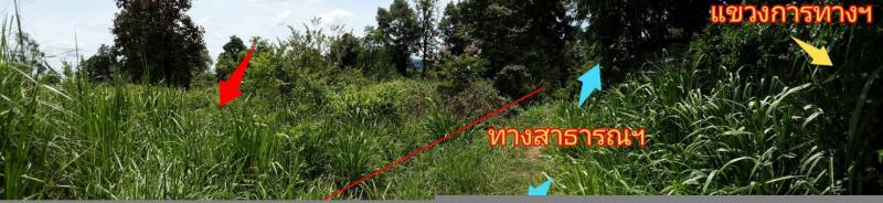 ที่ดินเปล่าหลุดจำนอง ธ.ธนาคารกรุงไทย หนองบัวลำภู เมืองหนองบัวลำภู โพธิ์ชัย