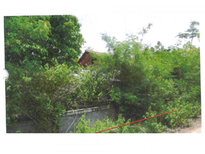 ที่ดินพร้อมสิ่งปลูกสร้างหลุดจำนอง ธ.ธนาคารออมสิน หนองบัวลำภู ศรีบุญเรือง หันนางาม