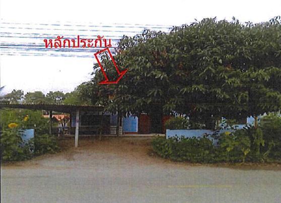 บ้านเดี่ยวหลุดจำนอง ธ.ธนาคารอาคารสงเคราะห์ หนองบัวลำภู เมืองหนองบัวลำภู หนองภัยศูนย์