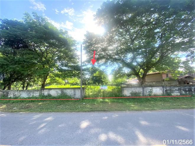 ที่ดินว่างเปล่าหลุดจำนอง ธ.ธนาคารกสิกรไทย หนองบัวลำภู ศรีบุญเรือง เมืองใหม่