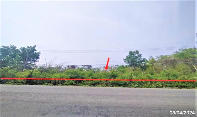ที่ดินว่างเปล่าหลุดจำนอง ธ.ธนาคารกสิกรไทย หนองบัวลำภู เมืองหนองบัวลำภู หนองบัว