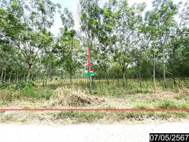 ที่ดินว่างเปล่าหลุดจำนอง ธ.ธนาคารกสิกรไทย หนองบัวลำภู ศรีบุญเรือง โนนสะอาด