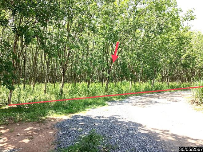 ที่ดินว่างเปล่าหลุดจำนอง ธ.ธนาคารกสิกรไทย หนองบัวลำภู ศรีบุญเรือง โนนสะอาด
