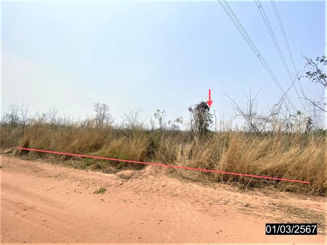 ที่ดินว่างเปล่าหลุดจำนอง ธ.ธนาคารกสิกรไทย หนองบัวลำภู ศรีบุญเรือง โนนสะอาด