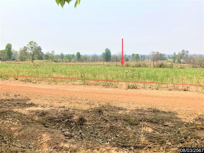 ที่ดินว่างเปล่าหลุดจำนอง ธ.ธนาคารกสิกรไทย หนองบัวลำภู ศรีบุญเรือง โนนสะอาด
