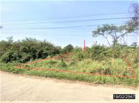 ที่ดินว่างเปล่าหลุดจำนอง ธ.ธนาคารกสิกรไทย หนองบัวลำภู ศรีบุญเรือง หันนางาม