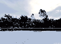 ที่ดินว่างเปล่าหลุดจำนอง ธ.ธนาคารกสิกรไทย หนองบัวลำภู สุวรรณคูหา นาดี