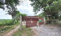 บ้านเดี่ยวหลุดจำนอง ธ.ธนาคารกสิกรไทย หนองบัวลำภู ศรีบุญเรือง โนนสะอาด